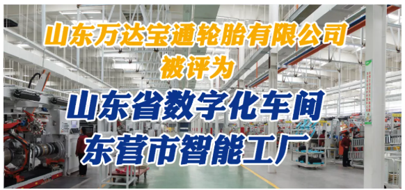 山東萬(wàn)達(dá)寶通輪胎對(duì)其全年工作做了詳細(xì)總結(jié)。 山東萬(wàn)達(dá)寶通輪胎對(duì)其全年工作做了詳細(xì)總結(jié)。