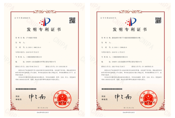知名輪胎企業(yè)專利授權(quán)快速增長(zhǎng)! 知名輪胎企業(yè)專利授權(quán)快速增長(zhǎng)!
