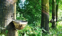 橡膠技術網：特種橡膠有哪些？