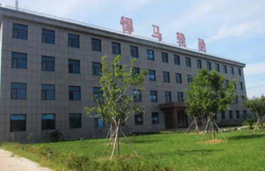兩家輪胎公司，進(jìn)入省級(jí)名單 