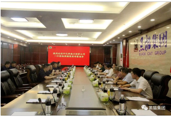 與會人員共同觀看了黑貓集團宣傳片，并就相關問題展開深入交流。