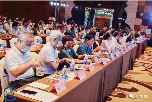 中國國際水性木器涂料研討會會議現(xiàn)場 中國國際水性木器涂料研討會會議現(xiàn)場