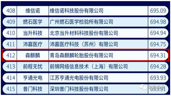 中國新經濟500強,森麒麟入選 中國新經濟500強,森麒麟入選
