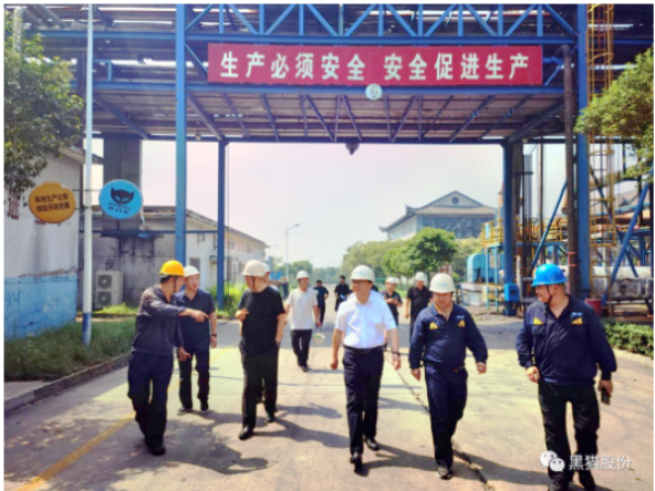 高英華一行到邯鄲黑貓調研指導