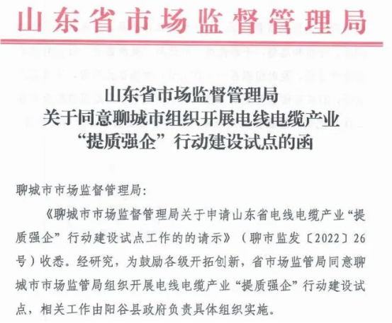 聊城市陽谷縣被定為電線電纜產業“提質強企”行動建設試點