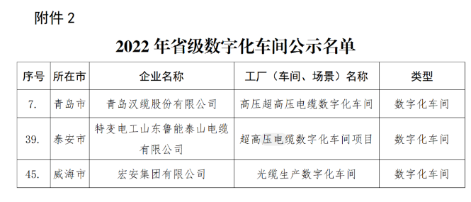 青島漢纜、特變電工山東魯能泰山電纜、宏安集團(tuán)入選2022年省級(jí)數(shù)字化車間公示名單 青島漢纜、特變電工山東魯能泰山電纜、宏安集團(tuán)入選2022年省級(jí)數(shù)字化車間公示名單