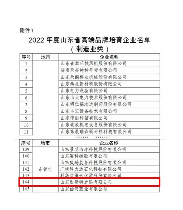 耐斯特炭黑公司將錨定“走在前、開新局”，繼續踐行“創新引領、經營增效，高效管理、節能創效，持續發展、管理提效”的戰略定位，把科技創新擺在更加突出的位置、置于更加優先的發展方向，大力推進以企業為主體的技術創新體系建設，強化關鍵核心技術攻關，牢牢掌握創新發展主動權，打造原始創新高地和強大引擎，持續推動產學研用一體化發展，以更自覺的擔當、更堅決的態度、更有力的舉措持續加強高技能人才隊伍建設，努力為山東先進制造業強省建設貢獻更多的萬達耐斯特智慧和力量，以更優異的成績迎接黨的二十大勝利召開。