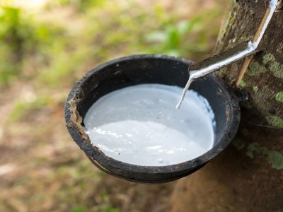 橡膠有哪些原材料？你不知道的橡膠知識