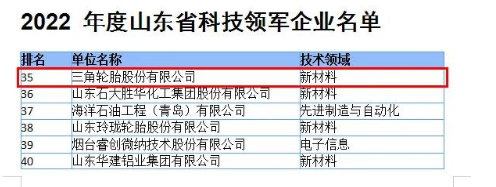 科技硬實力,三角輪胎入選山東領(lǐng)軍企業(yè) 科技硬實力,三角輪胎入選山東領(lǐng)軍企業(yè)