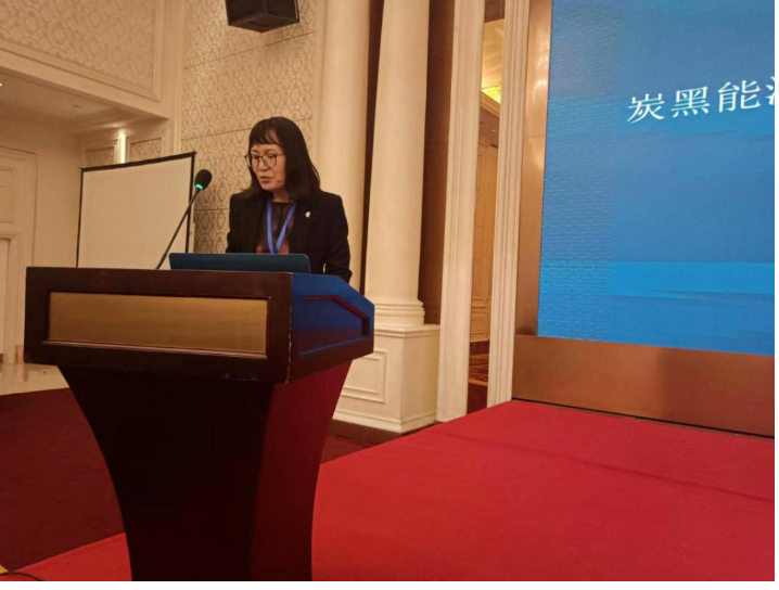 中橡協炭黑分會秘書長丁麗萍，向參會代表匯報了炭黑分會近期工作情況及2023年重點工作安排，包括3項團體標準的立項和《炭黑制造技術與科學》新書編制出版等。