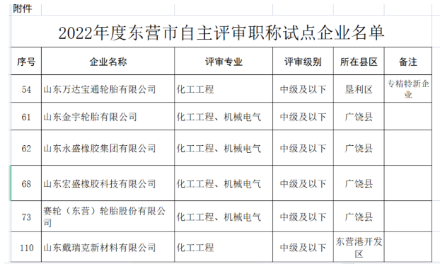 職稱自主評(píng)審,5家輪胎企業(yè)試點(diǎn)! 職稱自主評(píng)審,5家輪胎企業(yè)試點(diǎn)!