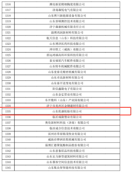 　高新技術(shù)企業(yè)的認(rèn)定，是對(duì)山東優(yōu)盛輪胎有限公司研發(fā)實(shí)力、技術(shù)實(shí)力、綜合實(shí)力等多方面的認(rèn)可，也是對(duì)山東優(yōu)盛輪胎有限公司堅(jiān)持科技創(chuàng)新、技術(shù)創(chuàng)新的肯定。