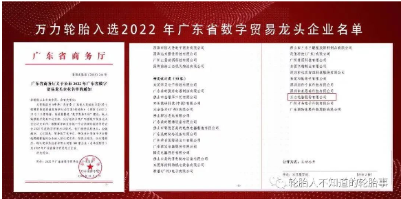 萬力輪胎入選廣東省數字貿易龍頭企業(yè) 萬力輪胎入選廣東省數字貿易龍頭企業(yè)