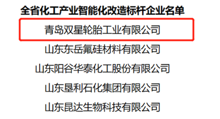 數(shù)智化創(chuàng)新發(fā)展,雙星輪胎獲評山東省化工產業(yè)智能化改造“標桿企業(yè)” 數(shù)智化創(chuàng)新發(fā)展,雙星輪胎獲評山東省化工產業(yè)智能化改造“標桿企業(yè)”