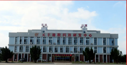山東元豐橡膠董事長(zhǎng)李巖
