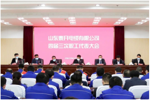 泰開電纜董事長(zhǎng)盧俊良作重要講話。 泰開電纜董事長(zhǎng)盧俊良作重要講話。