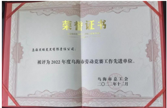喜訊！烏海黑貓公司榮獲“烏海市勞動競賽工作先進單位”稱號