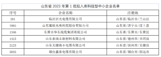 其中，東營市華東線纜集團有限公司、臨沂沂光電纜有限公司、山東鷹聯(lián)光電科技股份有限公司、山東泰瑞豐新材料有限公司、山東無棣海豐電纜有限公司、煙臺鑫泰電纜有限公司等多家電線電纜企業(yè)進入山東省2023年第1批擬入庫科技型中小企業(yè)名單。