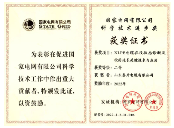 山東泰開電纜有限公司憑借其“XLPE電纜在役狀態診斷及役齡延長關鍵技術與應用”項目，獲得了國家電網有限公司的“科學技術進步獎”，這是對該公司近年來高質量發展的充分肯定。