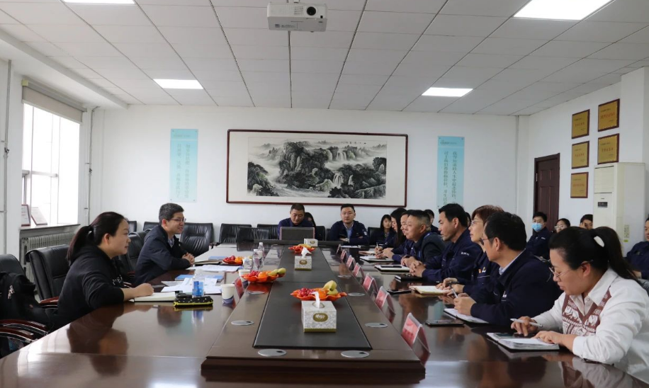 審核過程中，審核組以IATF16949質(zhì)量管理體系標(biāo)準(zhǔn)、ISO9001、ISO14001、GB/T45001管理體系標(biāo)準(zhǔn)、管理文件、產(chǎn)品標(biāo)準(zhǔn)、作業(yè)指導(dǎo)書等為審核準(zhǔn)則，通過現(xiàn)場(chǎng)查看和資料審查相結(jié)合的方式，深入車間生產(chǎn)現(xiàn)場(chǎng)、查閱了產(chǎn)品合同、物資采購合同、供方評(píng)價(jià)、不合格的處理流程以及客戶滿意度、出廠記錄等相關(guān)資料，并與相關(guān)負(fù)責(zé)人進(jìn)行了溝通交流。