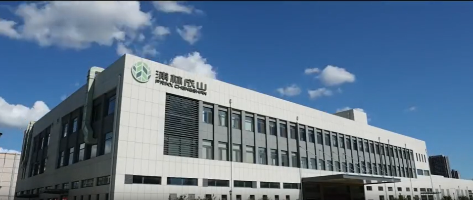 浦林成山的銷量基本持平，收入同比提升，國內經銷業務克服重重困難，提高市場份額。