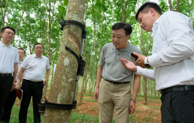 據(jù)了解，天然橡膠作為國家重要的戰(zhàn)略物資和工業(yè)原料，也是膠農(nóng)收入的重要來源。海南作為我國重要的天然橡膠生產(chǎn)和加工基地，馮飛書記指出，海南合勝橡膠科技有限公司和相關(guān)科研單位應(yīng)始終懷揣著"國之大者"的情懷，堅(jiān)定發(fā)展信心，聚焦海南天然橡膠全產(chǎn)業(yè)鏈發(fā)展，致力于打破產(chǎn)業(yè)鏈發(fā)展中的阻礙，推動(dòng)海南天然橡膠產(chǎn)業(yè)高質(zhì)量發(fā)展，確保國家天然橡膠供給的安全。