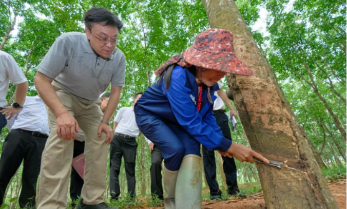 在調(diào)研期間，副省長顧剛也參加了此次活動(dòng)。整個(gè)調(diào)研活動(dòng)著重探討了海南農(nóng)墾改革和農(nóng)墾高質(zhì)量發(fā)展的問題，為推動(dòng)海南天然橡膠產(chǎn)業(yè)的發(fā)展提供了重要的指導(dǎo)和決策參考。
