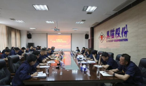 黑貓股份召開(kāi)了基層黨建工作部署推進(jìn)會(huì)，旨在進(jìn)一步強(qiáng)化黨對(duì)公司及各單位發(fā)展的引領(lǐng)作用。黑貓股份黨委副書(shū)記、董事長(zhǎng)、總經(jīng)理魏明以及黨政領(lǐng)導(dǎo)班子成員出席了會(huì)議，會(huì)議由公司黨委專(zhuān)職副書(shū)記周芝凝主持。