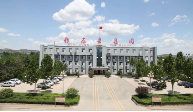 這次會議為新東岳集團公司的高級管理人員提供了一個交流和總結(jié)的平臺，以進一步推動企業(yè)的高效運營。