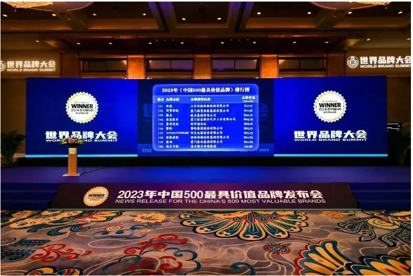 賽輪集團憑借其深厚的品牌積淀和強大的品牌成長力，逐步躋身世界級輪胎品牌的行列。未來，賽輪集團表示將繼續(xù)堅持創(chuàng)新研發(fā)，以"中國匠心"打造"世界品質(zhì)"，不斷豐富品牌底蘊，開啟中國輪胎品牌崛起的新篇章!