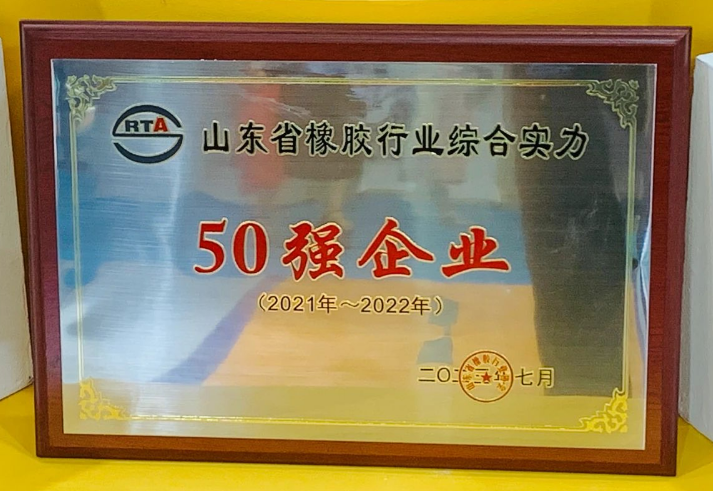 萬達寶通輪胎表示將繼續以客戶的青睞為動力，把握此次展會的契機，以消費者的需求為中心，不斷提高自主創新能力，優化產品結構，進一步夯實高質量發展的基礎。公司致力于提供高質量、高標準、高性價比的產品，為全球用戶提供更安全舒適的駕乘體驗。
