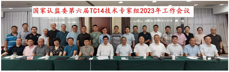會(huì)議主要聚焦于新版方法標(biāo)準(zhǔn)GB/T521-2023、GB/T4501-2023、GB/T4502-2023的換版要求，以及輪胎滾動(dòng)阻力、濕路面相對(duì)抓著性能的納入GB 9743、GB 9744發(fā)布實(shí)施后輪胎CCC認(rèn)證實(shí)施方案。同時(shí)，專家們還深入探討了在認(rèn)證檢測(cè)實(shí)施過程中所面臨的技術(shù)難題。