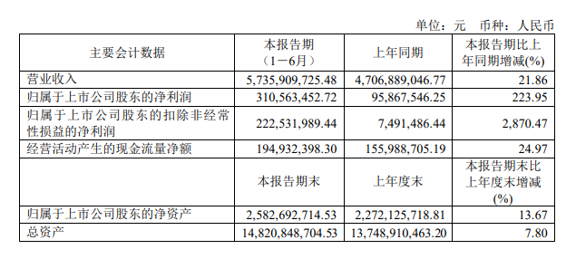 7月30日，三棵樹（603737）發布2023年半年度報告。財報顯示，公司今年上半年實現營業收入57.36億元，同比增長21.86%；歸母凈利潤為3.106億元，同比大幅增長224%。