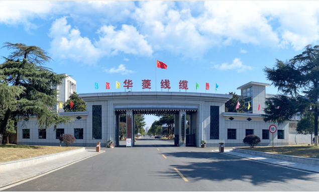 華菱線纜表示將繼續積極響應“雙碳”號召，進一步開拓綠色新能源行業，推動行業能源清潔化、低碳化、高質量發展。公司將致力于提供更加優質的產品和服務，實現社會、客戶與企業共贏目標。