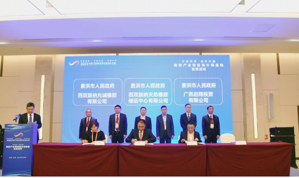 本次活動的主題為“開放共享 合作共贏”，吸引了來自省內外的數百位企業家共襄盛舉。活動中，代表們有機會展開充分的交流和深入的洽談，旨在達成更多合作共識，促進全方位的合作，推動云南天然橡膠的高質量發展。會上舉行了項目簽約儀式，共有6個項目成功簽約，總投資額達到30億元。與會的各個州市代表在現場對這些項目進行了詳細介紹，并進行了項目交流。