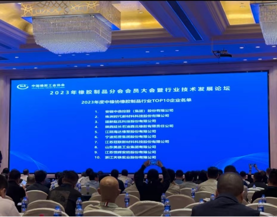 本次大會上，2023年度全國橡膠制品行業“十強”企業名單重磅出爐。名單顯示，安徽中鼎控股(集團)股份有限公司、株洲時代新材料科技股份有限公司、建新趙氏科技股份有限公司在2023年的綜合實力和市場地位上取得了顯著成就，獲得了橡膠制品行業“十強”企業前三名的榮譽。