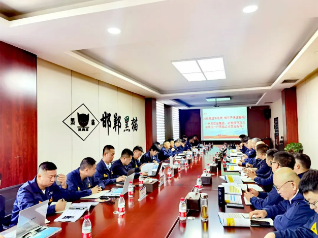 在邯鄲黑貓公司的調研會上，盛旺喜明確了現場管理的數字化改革進程，并要求標準化工作流程，以提高工作效率。他強調員工應積極參與現場維護，提高員工的歸屬感和責任感。此外，他強調要堅決杜絕“八大浪費”，以使生產過程更加科學規范。