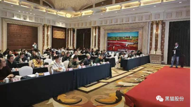 各參會嘉賓齊聚一堂，會場氣氛熱烈，會談內容豐富。通過本次推介會，黑貓股份與參會企業之間的距離得以拉近，工作思路也得以拓寬，為公司未來的高質量蓬勃發展奠定了堅實基礎。