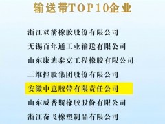 2023-2024年度輸送帶行業TOP10榜單揭曉