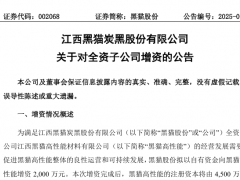 黑貓股份，增資子公司！