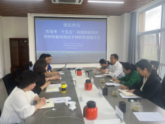 青島“十五五”特種輪胎與高分子材料創新發展座談會召開
