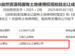 3200萬元！炭黑廠競得一塊工業(yè)用地！