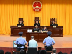海南橡膠集團原副總陳某受賄案庭審