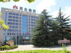 賀莉莉履新！延長橡膠雙企“掌舵人”開啟新篇章