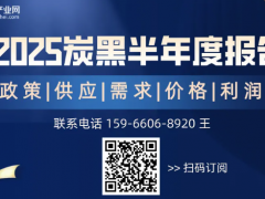 【半年報(bào)】2025炭黑半年度報(bào)告