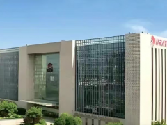 延長橡膠海外版圖持續擴大 前 5 月銷量同比增 14%